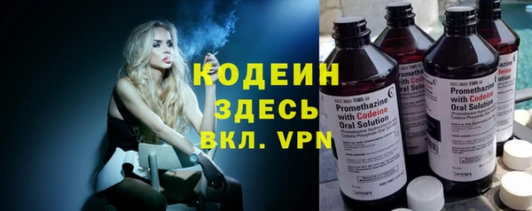 эйфоретик Дубна