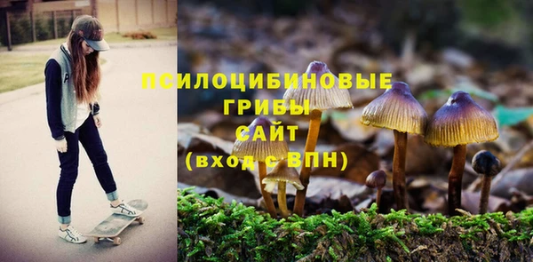 2c-b Корсаков