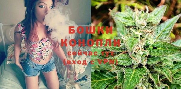 бошки Железноводск